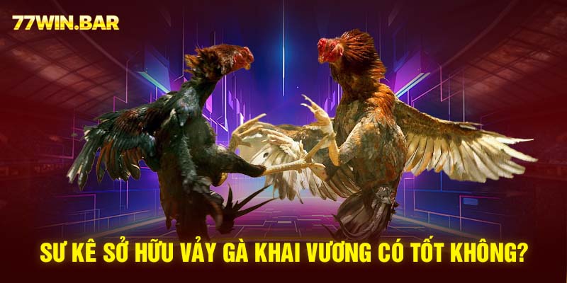 Sư kê sở hữu vảy gà khai vương có tốt không?