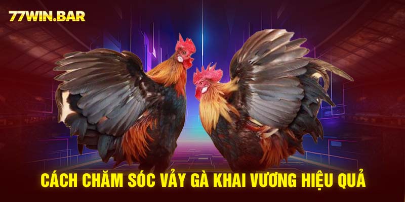 Cách chăm sóc vảy gà khai vương hiệu quả